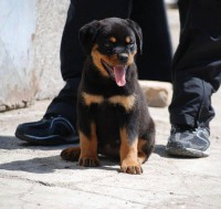 /album/galeria-de-fotos-pagina-inicial/a1461072-600471749987980-58243152-n-jpg/