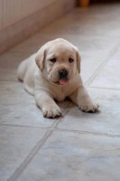 /album/galeria-de-fotos-pagina-inicial/a1474442-600630413305447-420710412-n-jpg/